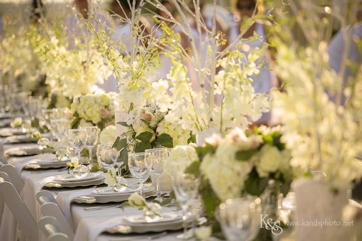 Diner en Blanc Dallas